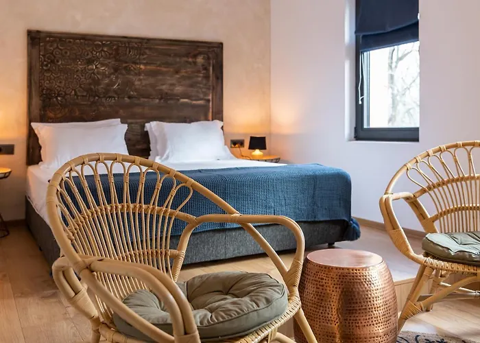 Utopia Forest 布尔加斯