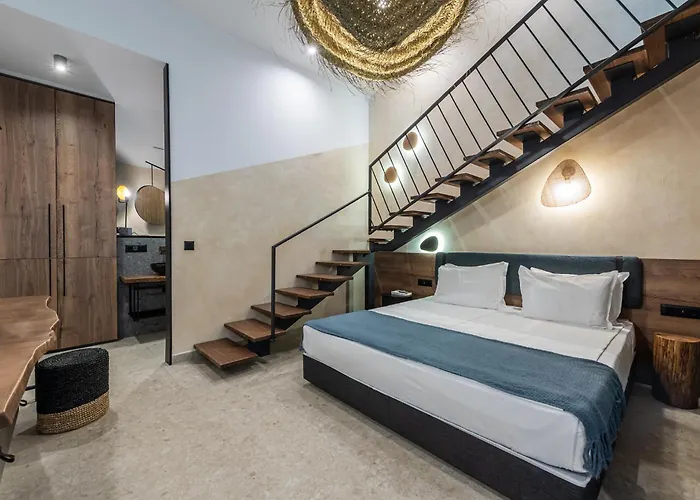 Utopia Forest 布尔加斯